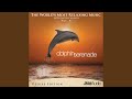 Dolphin Serenade