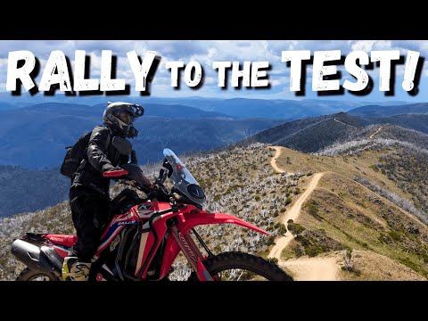 HONDA RALLY vs this ICONIC Track!? Exploring Blue Rag Range and the Hidden Gems of the High Country