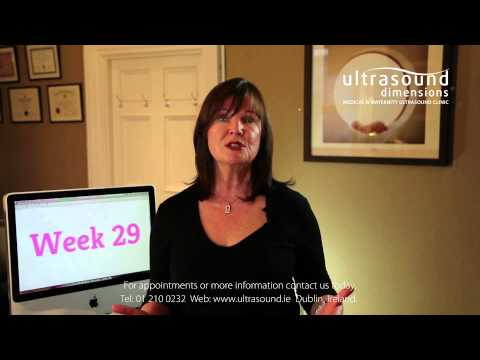 29 Weeks Pregnant - Your 29th Week Of Pregnancy