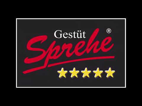 Cornet de Semilly Hengstvorführung 2020