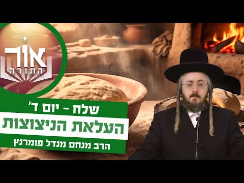 אור התורה - יום ד' פרשת שלח