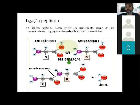 BIOQUÍMICA - AMINOÁCIDOS - AULA ZOOM