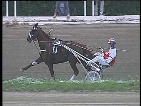 Trotto 21/10/2016 - 3ª corsa