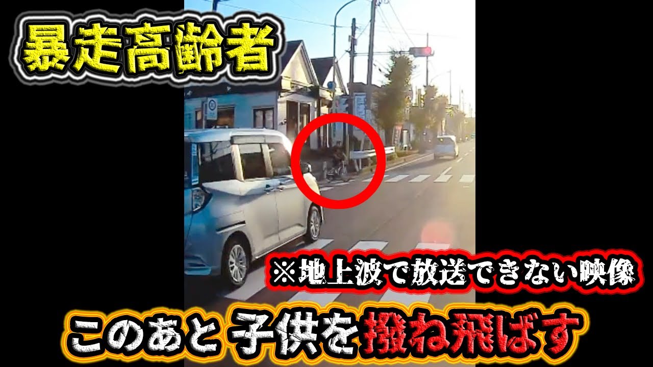 【ドラレコ】9月② 高齢者の車が信号を無視して横断中の自転車を撥ね飛ばす事故❗️etc. 日本のドラレコ映像まとめ【事故回避・危険予知トレーニング】