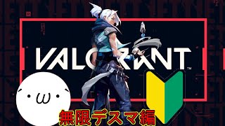 デスマ生活3日目エイムは筋肉座学は頭「valorantデスマ生活３日目」