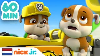 PAW Patrol  1 uur lang de geweldige avonturen van 