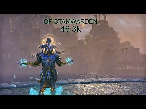 ESO stamwarden 46.3k Selfbuffed DPS parse