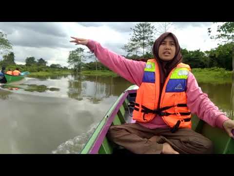 Bagaimana ada potensi pada pria Tingtur lilin ngengat impotensi