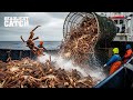 Inside The 3 Million King Crab Catch From Deadliest Seas To Luxury Tables Fishing Documentary
