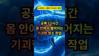 지금 배고프신가요? 축하합니다. 당신의 몸이 '쓰레기 세포'를 잡아먹기 시작했습니다.