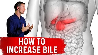 10 Things to Increase Bile (from the Gallbladder)