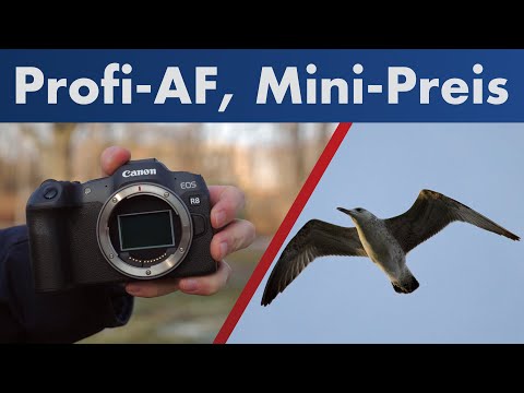 Canon EOS R8 | Die beste Vollformat-DSLM unter 2.000 Euro? [Test auf Deutsch]