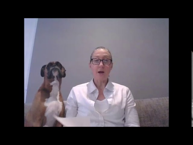 YouTube video preview