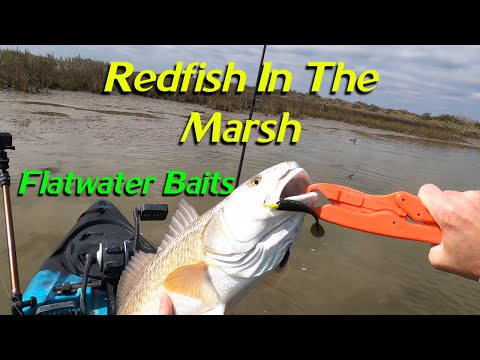 Nothing But Tanks On Flatwater Baits Kayak Fishing Marsh Creeks #kayakfishing