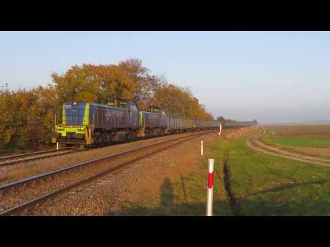 Jesienne brutta na po Wólka Niedzieliska