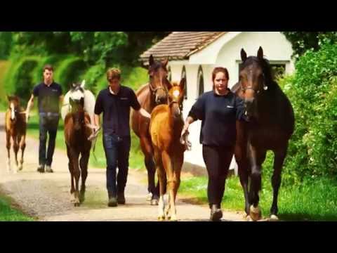 Newmarket - 350 years as the home of horseracing