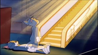 Lighthouse - Patrick Watson