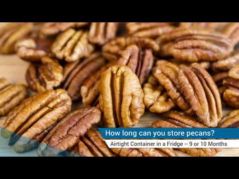 download lagu mp3 mp4 Shelled Pecans Wholesale, download lagu Shelled Pecans Wholesale gratis, unduh video klip Shelled Pecans Wholesale