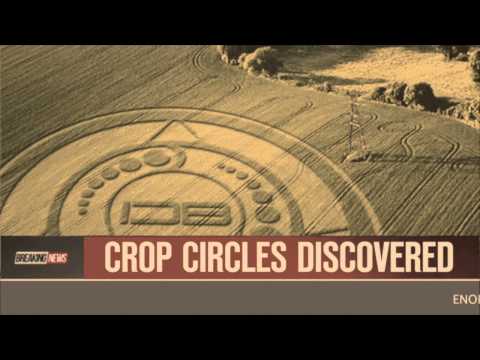 Crop Circles Discovered in Canada - October 2, 2013
