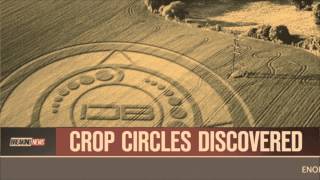 Crop Circles Discovered in Canada - October 2, 2013