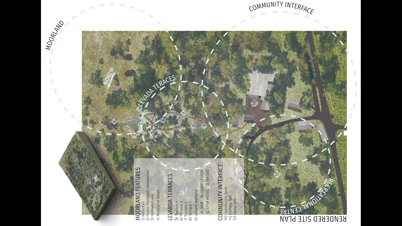 final video woodland node presentation