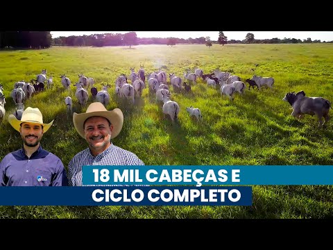 Ciclo completo com tecnologias da programação fetal a T.I.P. rende mais | Noticiário Tortuga
