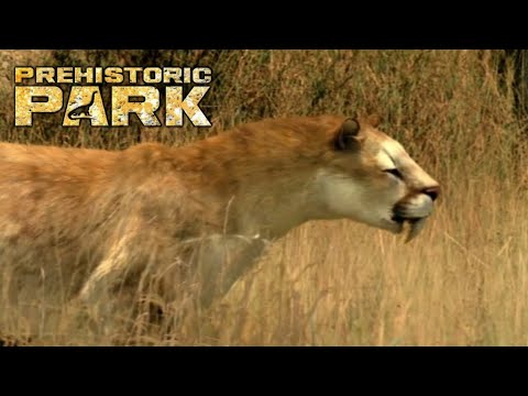 Saber Tooth Hunt, Prehistoric Park Ep 4 (2006)