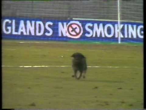 Israel 1-2 England (1986)