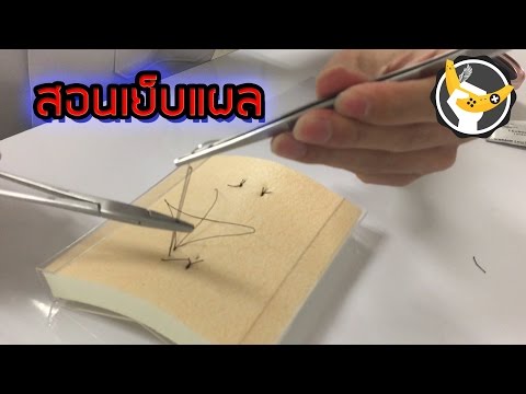 ชมเชยเพื่อกระตุ้นผู้หญิง ผู้หญิงซื้อเชื้อโรค