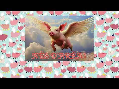 Xês D'arêa 2024 - Pôrque Voador