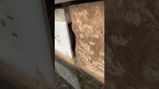 3. IMG 2064