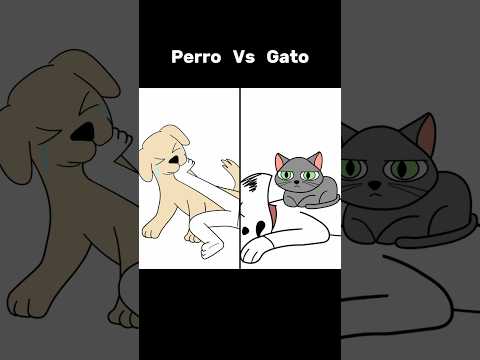 Perro Vs Gato cuando mueres 😂