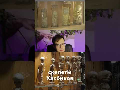 Топ 5 фактов о Петре Первом #историяроссии #петрпервый