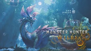 【MHWs】初見タマミツネ討伐　太刀【モンハンワイルズ】