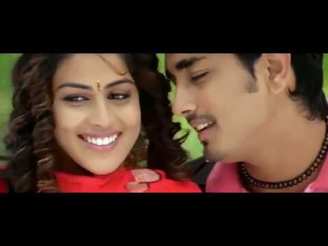 Bommarillu Video Song | Bommani Geste ni la Vundi Song HD | Siddharth Genelia