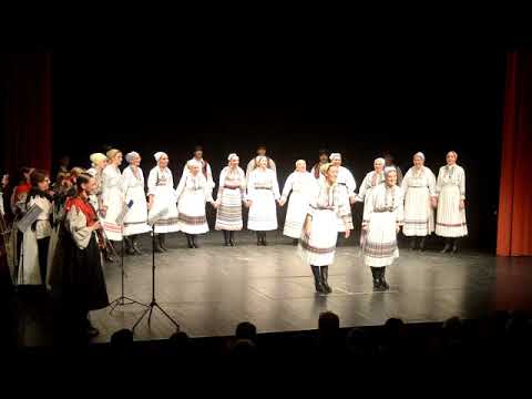 DC Kolo - Lipa naša, lipa stara