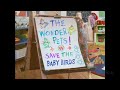 The Wonder Pets Save The Baby Birds Title Card