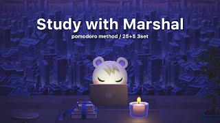 【あつ森】ジュンと一緒に勉強しませんか | 深夜から早朝にかけて |⏳ポモドーロ法25/5  | Study with me 【作業用BGM】