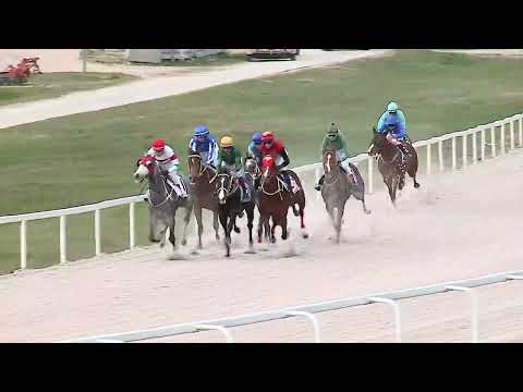 2023.04.02. 07. futam - NYERETLENEK VERSENYE (V.kat.) (szintetikus pálya)