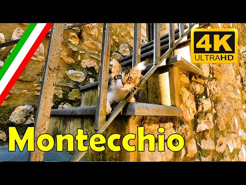 Montecchio (Terni) | A Medieval Village in Umbria to Discover 🇮🇹✨