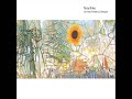 1 Terry Riley - G Song