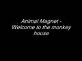 Animal Magnet - Welcome to the monkey house