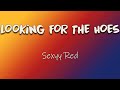 Sexyy Red Looking For The Hoes Lyrics Shake That A Ho It Ain T My Fault