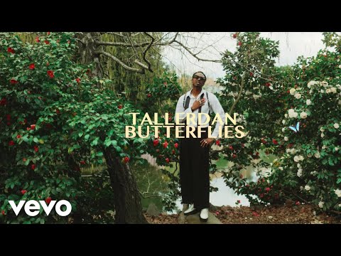 Taller Dan - Butterflies (Official Music Video)