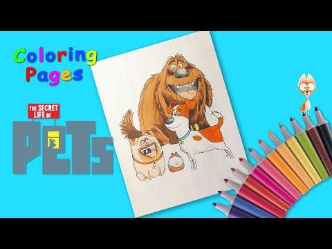 Coloring cartoon characters The Secret Life of Pets.  Coloring for kids. Video