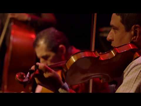Angelo Debarre et Marius Apostol - Quintet // Festival Sons d'Hiver