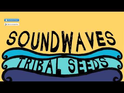 Tribal Seeds - Soundwaves (ft. Eric Rachmany of Rebelution) [OFFICIAL AUDIO]