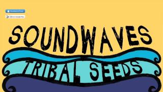 Soundwaves Music Video