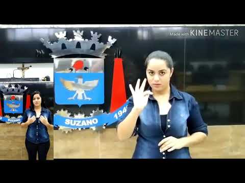 Câmara de Suzano tem interprete