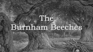 Burnham Beeches,    The Song